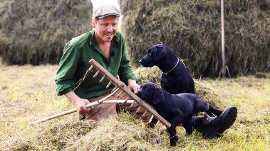 Hundra procent bonde