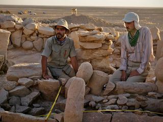 Raetselhafte Wuestendrachen