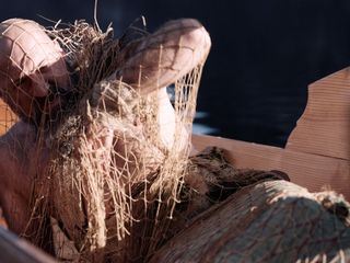 Der Sagenjaeger - Max Mueller auf Spurensuche