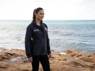 Navy CIS: Hawaii