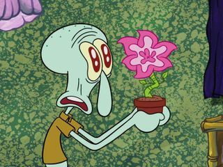 SpongeBob Schwammkopf SpongeBob Schwammkopf