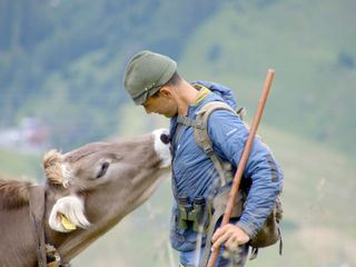 Almgeschichten aus Tirol