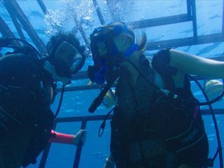 47 Meters Down