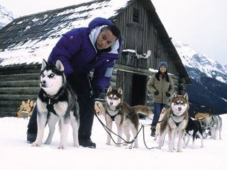 Snowdogs - Acht Helden auf vier Pfoten