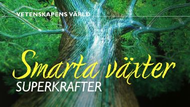 Vetenskapens vaerld: De smarta vaexterna