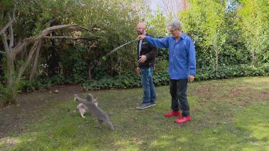 Der Katzenfluesterer Der Katzenfluesterer