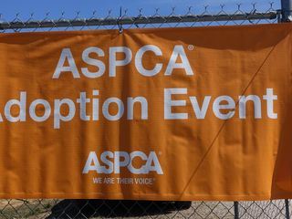 Die Helden von New Orleans