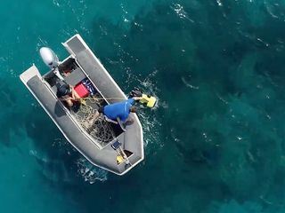 Die Waechter des Great Barrier Reef