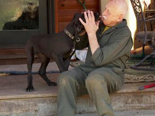 Der unglaubliche Dr. Pol