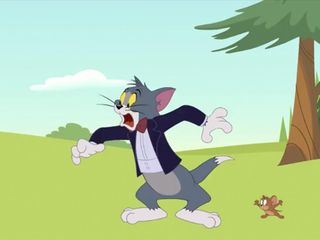 Die Tom und Jerry Show
