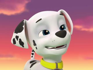 PAW Patrol - Helfer auf vier Pfoten