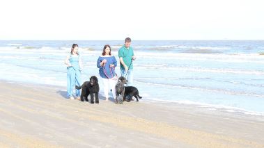 Traumhaus am Strand gesucht