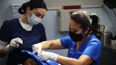 Dr. Pimple Popper