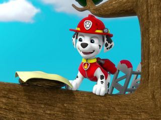 Paw Patrol: Helfer auf vier Pfoten