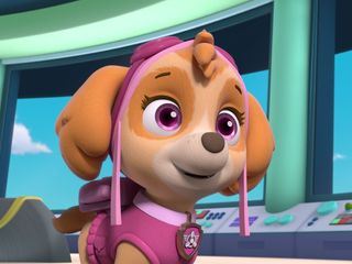 Paw Patrol: Helfer auf vier Pfoten Paw Patrol: Helfer auf vier Pfoten