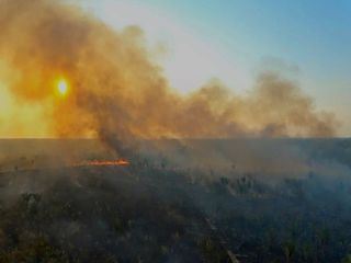 Bedrohter Amazonas - Warum die gruene Lunge stirbt