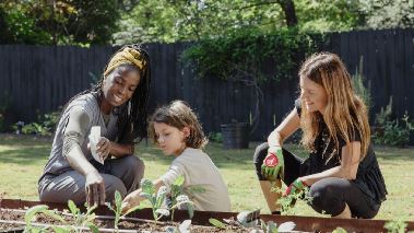 Homegrown - Aus Liebe zum Garten