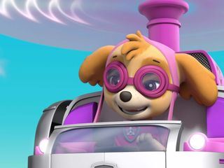 Paw Patrol - Helfer auf vier Pfoten