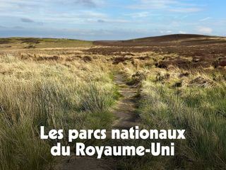 Wildes Grossbritannien