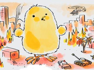 Wer nicht fragt, stirbt dumm!