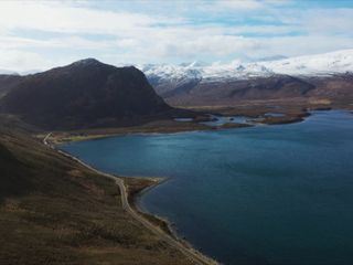 Mit vollem Einsatz - Die Tieraerzte in den Highlands