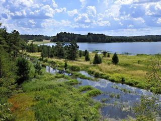 Von wilden Tieren, Mooren und Ruinen - Eine Reise durch Niederoesterreichs Naturparke