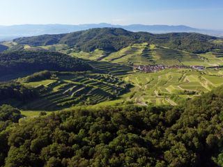 Wildes Deutschland: Kaiserstuhl