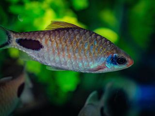 Zoo und so - Tierisch wild!