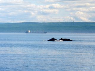 Kanadas Nationalparks