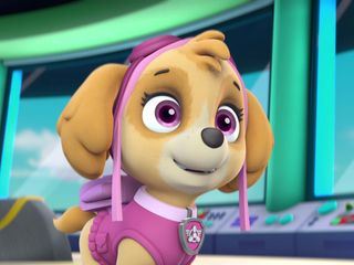 PAW Patrol - Helfer auf vier Pfoten PAW Patrol - Helfer auf vier Pfoten