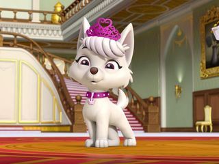 Paw Patrol - Helfer auf vier Pfoten