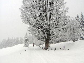 Faszination Skitouren