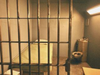 Gangland Chronicles - Blut und Loyalitaet