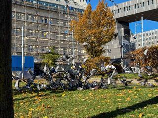 Tierische Augenblicke