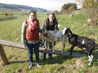 Anna und die Haustiere