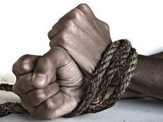 Bloodline Detectives - Die DNA der Taeter