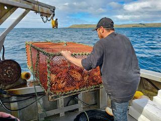 Thomas Junker unterwegs