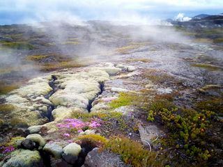 Magisches Island Magisches Island