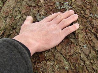 Menschen mit Gespuer fuer Holz