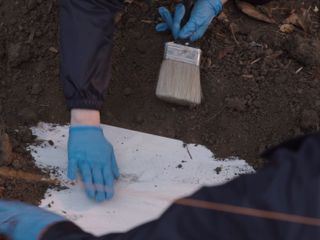 Buried in the Backyard - Mord verjaehrt nicht