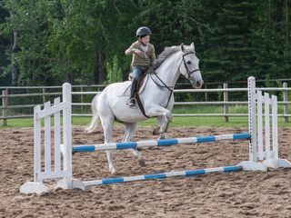 Heartland - Paradies fuer Pferde