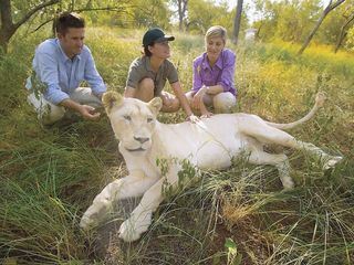 Die Abenteuer der drei weissen Loewen