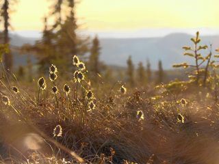 Yukon Men - Überleben in Alaska