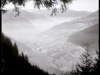 Fruehling am Kaiserstuhl