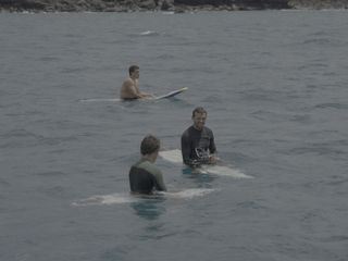 Haie auf Angriff 360°