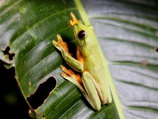 Speed of Life - Momentaufnahmen des Lebens