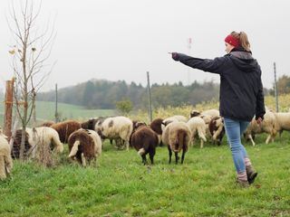 Die Hofuebergabe - Alte Äcker, neue Wege