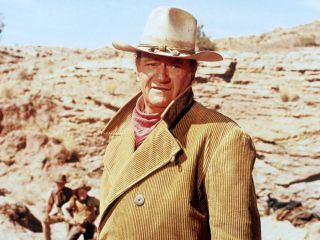 Die Cowboys