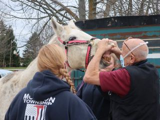 Der unglaubliche Dr. Pol