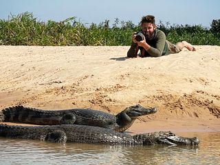 Mysterious Creatures